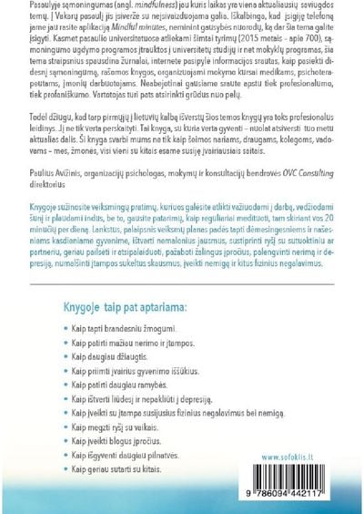 Sąmoningumo ugdymas. Mindfulness