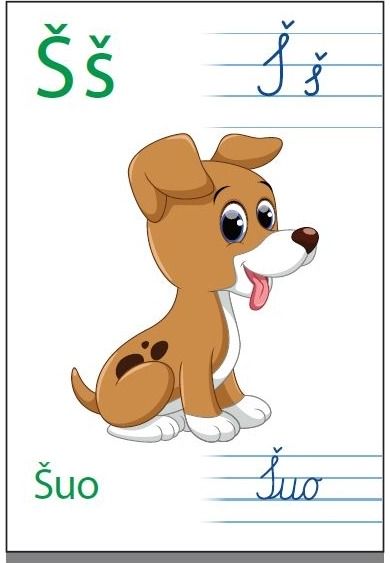 Margarita Jurevičienė, Toma Jokubaitienė - Pažįstu raides. 33 kortelių rinkinys - 000000000002172704