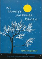 Haenim Sunim - Ką pamatysi sulėtinęs žingsnį - 000000000002174701