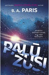 B. A. Paris - Palūžusi - 000000000002174906