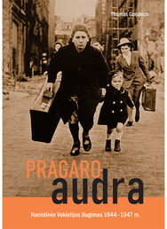 Pragaro audra