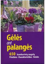  - Gėlės ant palangės. 650 kambarinių augalų. Priežiūra. Charakteristikos. Veislės - 000000000002177159