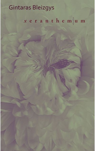 Gintaras Bleizgys - Xeranthemum - 000000000002177299