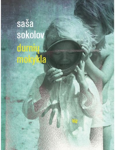 S. Sokolov - Durnių mokykla - 000000000002179999