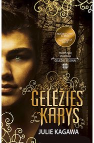 Geležies karys