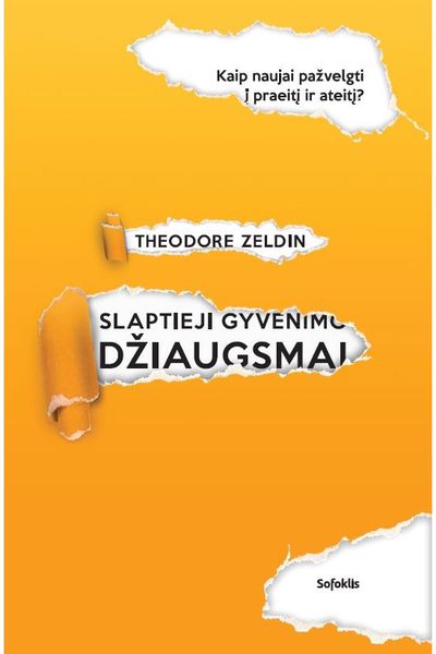 Theodore Zeldin - Slaptieji gyvenimo džiaugsmai. Naujos galimybės prisiminti praeitį ir įsivaizduoti ateitį - 000000000002181818