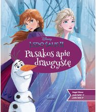 Ledo šalis. Pasakos apie draugystę