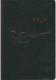 Biblija arba Šventasis Raštas. Kanoninis leidimas