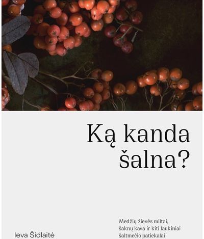 Ieva Šidlaitė - Ką kanda šalna? Medžių žievės miltai, šaknų kava ir kiti laukiniai šaltmečio pat iekalai - 000000000002183325