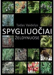 Spygliuočiai želdynuose