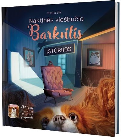 Monika Štalytė - Naktinės viešbučio Barkvilis istorijos - 000000000002184220