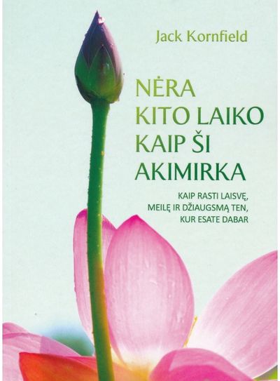 Jack Kornfield - Nėra kito laiko kaip ši akimirka - 000000000002184623
