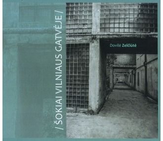 Dovilė Zelčiūtė - Šokiai Vilniaus gatvėje - 000000000002184739