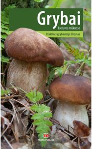 Grybai Lietuvos miškuose