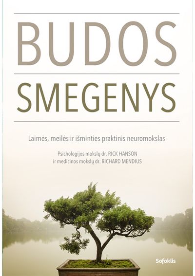 Rick Hanson, Richard Mendius - Budos smegenys: Laimės, meilės ir išminties praktinis neuromokslas - 000000000002185039