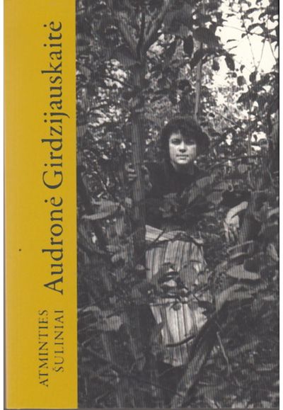 Audronė Girdzijauskaitė - Atminties šuliniai - 000000000002185118