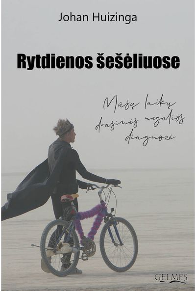 Johan Huizinga - Rytdienos šešėliuose. Mūsų laikų dvasinės negalios diagnozė - 000000000002185780