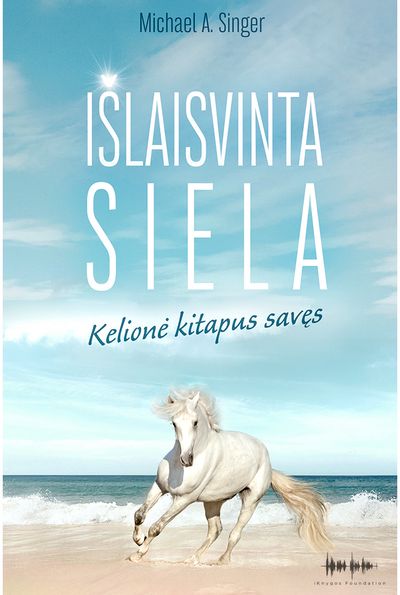 Michael A. Singer - Išlaisvinta siela. Kelionė kitapus savęs - 000000000002185812