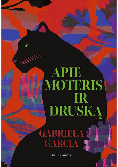 Gabriela Garcia - Apie moteris ir druską - 000000000002187355