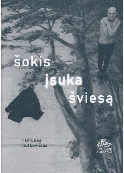 Ramūnas Liutkevičius - Šokis įsuka šviesą - 000000000002187973