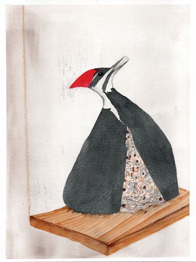 Dovilė Zavedskaitė - Ilgesys ir eglutės - 000000000002188642