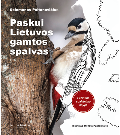 Selemonas Paltanavičius - Paskui Lietuvos gamtos spalvas - 000000000002188786