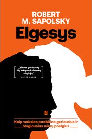Elgesys