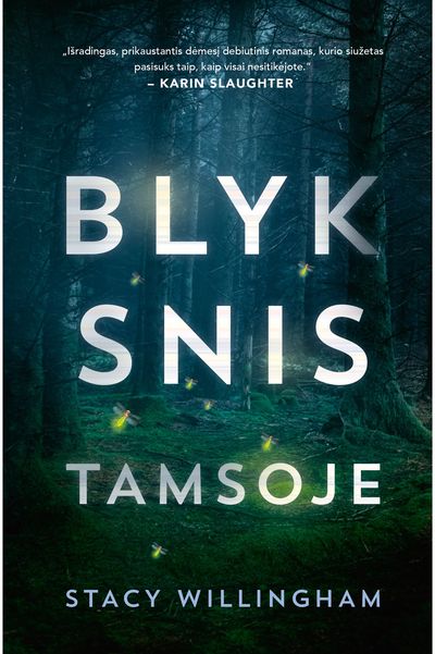 Stacy Willingham - Blyksnis tamsoje - 000000000002189200