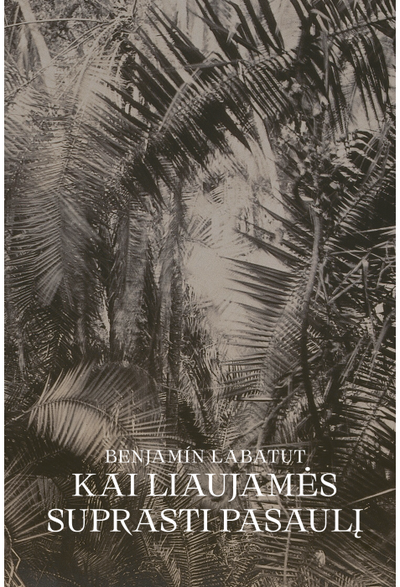 Benjamin Labatut - Kai liaujamės suprasti pasaulį - 000000000002189318