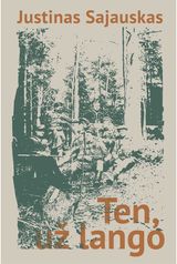 Justinas Sajauskas - Ten, už lango - 000000000002189579