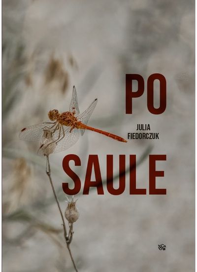 Julia Fiedorczuk - Po saule - 000000000002190575