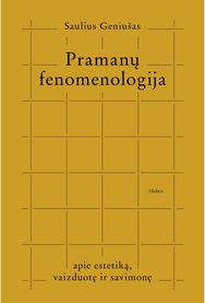 Pramanų fenomenologija