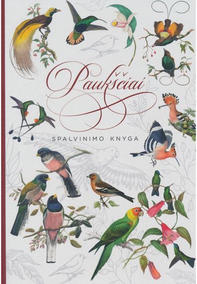 Danutė Nagienė - Paukščiai. Spalvinimo knyga - 000000000002190733