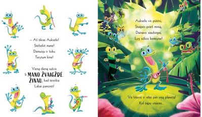 Rachel Bright - Driežiukas ir jo aidas - 000000000002190890