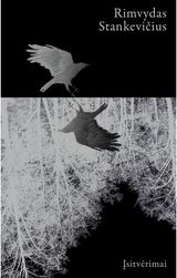 Rimvydas Stankevičius - Įsitvėrimai - 000000000002191139