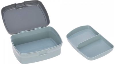 Gertuvės ir pietų dėžutės rinkinys ABOUT FRIENDS RACOON, 460ml+7,3x17,7x13,4 cm