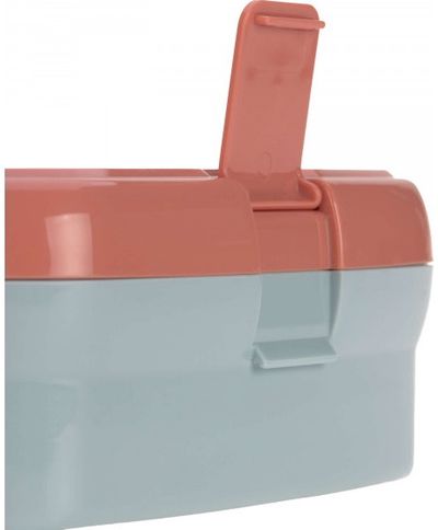 Gertuvės ir pietų dėžutės rinkinys ABOUT FRIENDS FOX, 460ml+7,3x17,7x13,4 cm