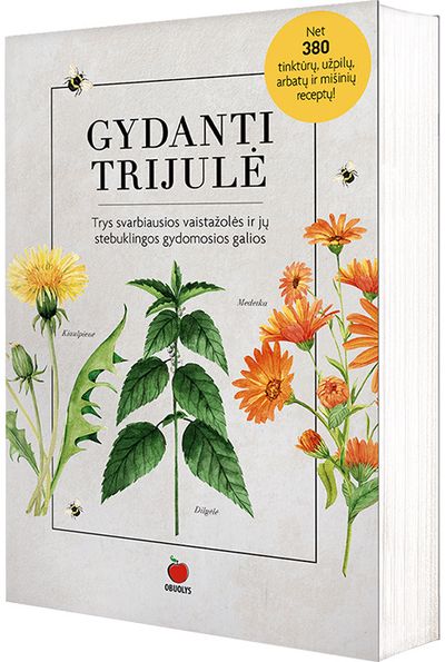 Gydanti trijulė