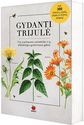 Gydanti trijulė