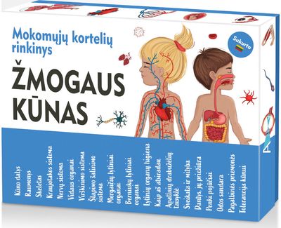 Mokomosios kortelės ŽMOGAUS KŪNAS
