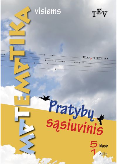Matematika visiems : 5 klasė : pratybų sąsiuvinis