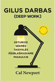 Gilus darbas. Keturios sėkmės taisyklės išsiblaškiusiame pasaulyje