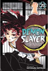 Demon Slayer: Kimetsu no Yaiba, Vol. 20
