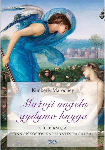 Mažoji angelų gydymo knyga