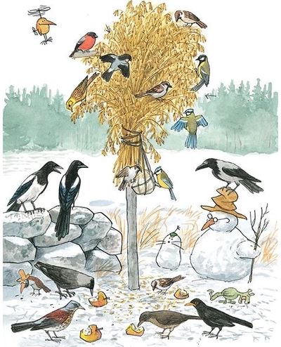 Metai su Petsonu ir Findusu: kurk ir eksperimentuok su gamta!