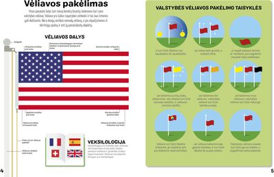 Pasaulio šalių vėliavos. Lipdukų knyga