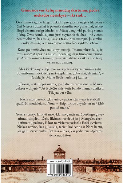 Pražuvusios dvynės