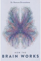 How the brain works