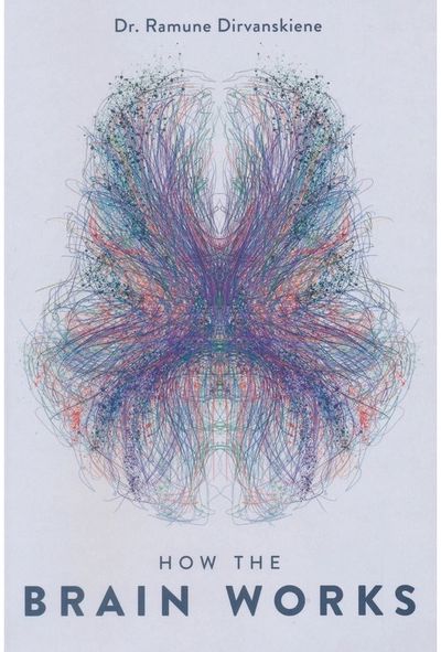 How the brain works