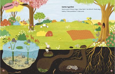 Metų laikai. Lipdukų knyga